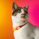 Dashi Lumix Solar Cat Collar - obroża dla kota, różowo-żółta