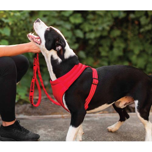 Kong comfort discount harness