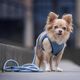 Max&Molly Rope Leash Matrix 2.0 200cm Ocean - przepinana smycz linowa dla psa, niebieska