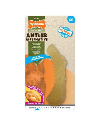 Nylabone Puppy Antler Chicken XS - bezpieczny gryzak dla szczeniaka, w kształcie poroża