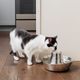 PetSafe Seaside Stainless Steel Pet Fountain 1,8L - fontanna dla kota i psa, ze stali nierdzewnej