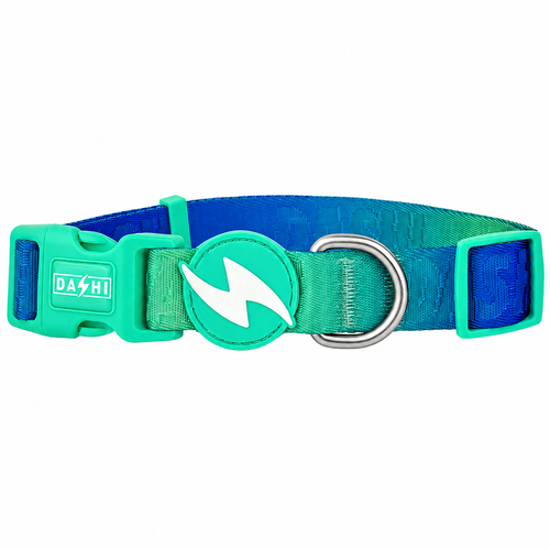 Dashi Lumix Borealis Collar - obroża dla psa, niebiesko-zielona