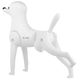 Mr. Jiang Toy Poodle Model Dog - manekin psa do nauki strzyżenia, bez futra