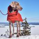 Hurtta Extreme Warmer III Eco Cinnamon - wodoodporna kurtka zimowa dla psa zimowa, z podszewką utrzymującą ciepło