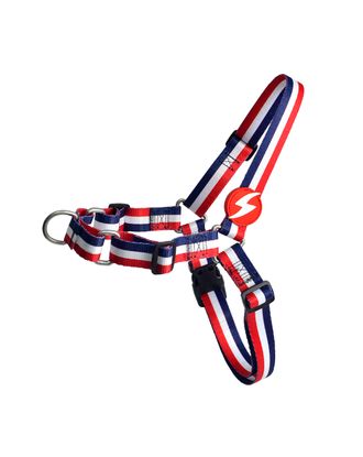 Dashi Stripes Red & Blue Front Harness - szelki norweskie dla psa, no-pull, paski czerwono-niebieskie
