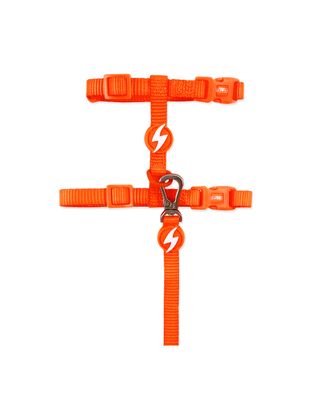 Dashi Neon Orange Cat Harness + Leash - nylonowe szelki i smycz dla kota, zestaw, neonowo pomarańczowe