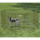 MidWest ConTour Exercise Pen - zagroda, płotek, kojec dla psa, wysokość 76cm