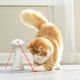 PetSafe Multi-Laser Toy - automatyczny laser dla kota, obrotowy