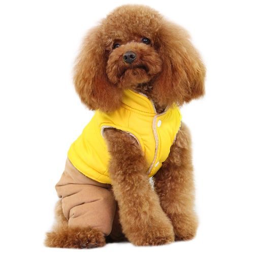 Dobaz ocieplany komplet: kurteczka dla psa + spodnie, żółty