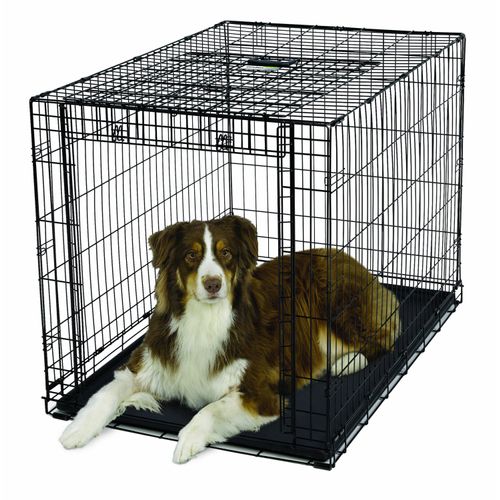 MidWest Ovation 1942 klatka dla psa 111x72x77cm, rozmiar XL
