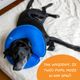 Bencmate Inflatable Collar Blue - pluszowy, dmuchany kołnierz dla psa i kota, niebieski