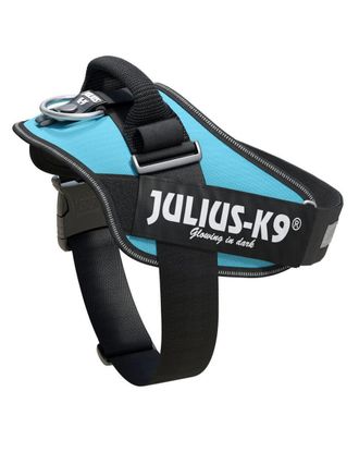Julius-K9 IDC Powerharness Aquamarine - najwyższej jakości szelki, uprząż dla psów w kolorze turkusowym