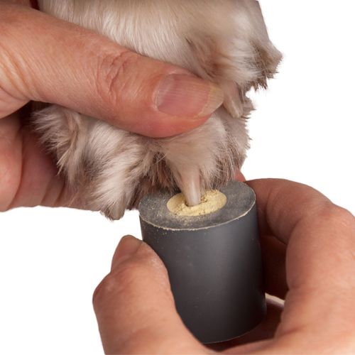 Show Tech Stop Bleeding Holder - pudełko do proszku tamującego krwawienie