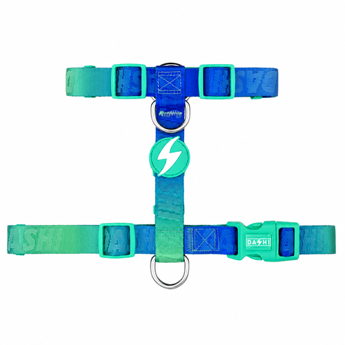 Dashi Lumix Borealis Back Harness - regulowane szelki guard dla psa, niebiesko-zielone