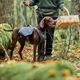 Hurtta Expedition Pack ECO - sakwy dla psa, z szelkami