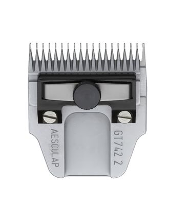 55da85e3209b7c037aa5dfe10c73fbd8