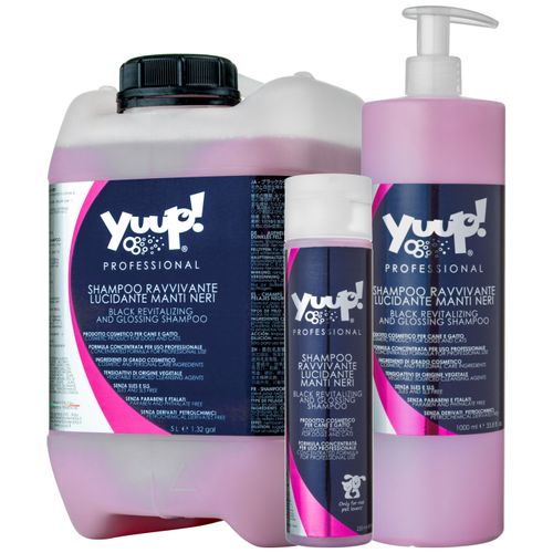 Skład Yuup! Professional Black Revitalising & Glossing Shampoo 