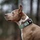 Max&Molly GOTCHA! Smart ID Matrix 2.0 Extra Wide Collar Jade - szeroka obroża dla psa z identyfikatorem QR, miętowa
