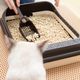 Cat&Rina WeVegetal Corn Litter - kukurydziany żwirek dla kota, zbrylający, biodegradowalny