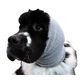 Show Tech Ear Buddy XL - szara opaska do suszenia płochliwych psów, bardzo duża
