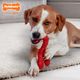 Nylabone Power Chew Lobster - twardy gryzak dla psa, homar o zapachu steka wołowego