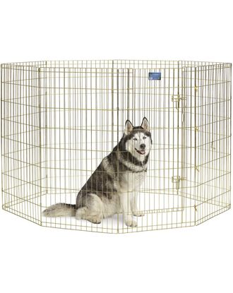 MidWest Gold Zinc Exercise Pen 61x122cm - solidny kojec, płotek dla psa z ocynku w kolorze złota