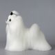 Mr. Jiang Maltese Full Body Hair - wymienna sierść do manekina groomerskiego Small Model Dog, maltańczyk