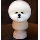 Mr. Jiang Bichon Model Dog Head - manekin główki groomerskiej, popiersie