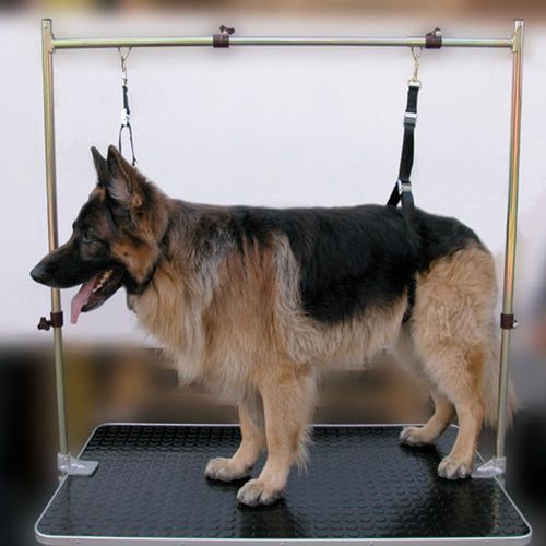 Show Tech Grooming Noose Set Heavy - zestaw nylonowych smyczy groomerskich z regulacją dł., szer. 2,5cm 