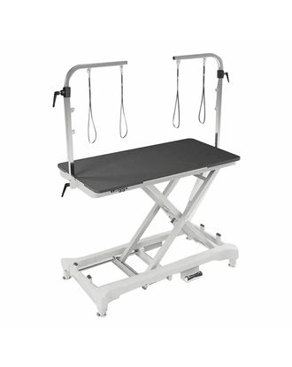 Waggz Step-Low Electric Grooming Table 127x66cm - stół groomerski elektryczny, z niskim progiem wejścia