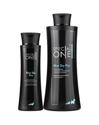 Special One Blue Sky Pro Shampoo - profesjonalny, oczyszczająco-odbudowujący szampon do każdej szaty, koncentrat 1:20