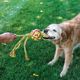 KONG Wubba Weaves with Rope Green - piszcząca zabawka dla psa ze sznurka, z plecionymi ogonami i kulą, zielona