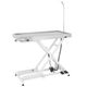 Blovi VT11 Veterinary Table 120x60 cm - stół zabiegowy weterynaryjny, bardzo nisko opuszczany