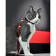 Dashi Stripes Red & Black Cat Harness + Leash - szelki i smycz dla kota, zestaw, czerwono-czarne paski