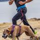 Kurgo RSG Active Belt - pas do biegania z psem, niebieski
