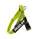 Julius-K9 Color&Gray Belt Harness Neon - szelki pasowe, uprząż dla psa, neonowe