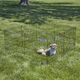 MidWest New World Basic Exercise Pen 61x61cm - składany kojec bez drzwi, wybieg dla psa i małych zwierząt