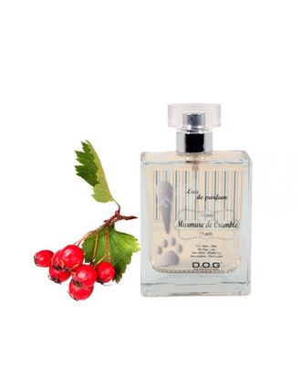 Dog Generation Murmure de Crumble - perfumy o słodkim zapachu czerwonych jagód, dla psa i kota - 100ml