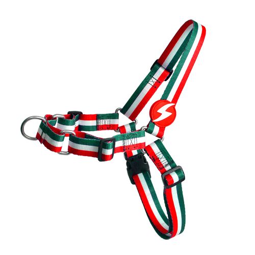Dashi Stripes Green & Red Front Harness - szelki norweskie dla psa, no-pull, paski zielono-czerwone