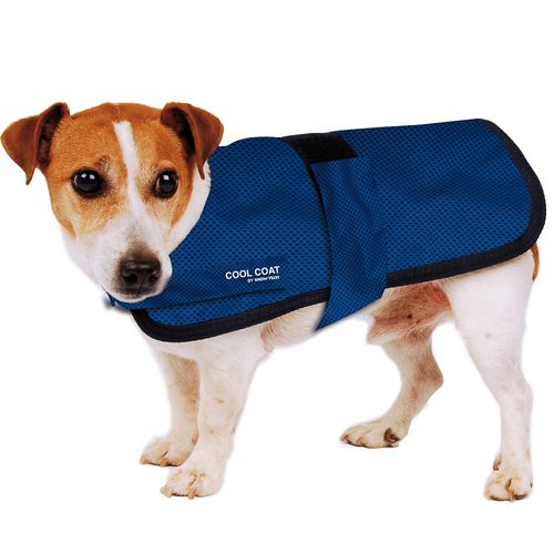 Show Tech Cool Coat wysokiej jakości kamizelka chłodząca dla psów.