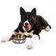 Show Tech Shiny Diny Pet Bowl - antypoślizgowa miska dla psa i kota
