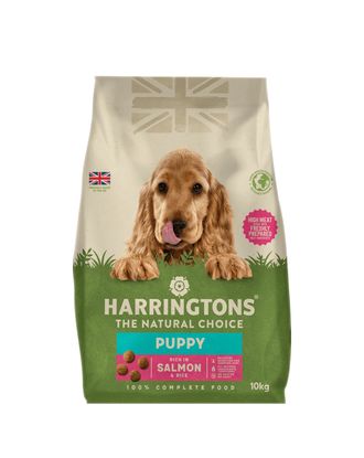Harrngtons Puppy Salmon & Rice 10kg - sucha karma dla szczeniaka, z łososiem i ryżem