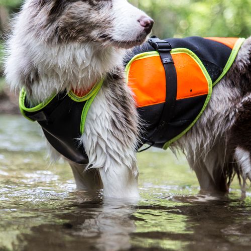 Julius k9 multifunctional vest store