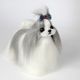 Mr. Jiang Shih Tzu Full Body Hair Grey & White - wymienna sierść do manekina groomerskiego Small Model Dog, szaro-biała