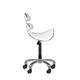 Activ AM-880 White - eleganckie, profilowane krzesło groomerskie z regulacją wysokości, białe