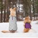 Kurgo Loft Jacket Violet/Grey - dwustronna kurtka wodoodporna dla psa, fioletowo-szara