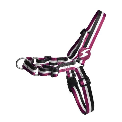 Dashi Stripes Purple & Black Front Harness - szelki norweskie dla psa, no-pull, paski fioletowo-czarne