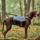 Hurtta Expedition Pack ECO - sakwy dla psa, z szelkami