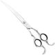 Henbor Infinity Pet Line Curved Scissors - profesjonalne nożyczki do strzyżenia zwierząt, gięte