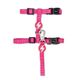 Dashi Solid Cat Harness + Leash - szelki i smycz dla kota, zestaw